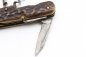 Preview: German Fallen pocket knife, army knife, manufacturer Zwilling,