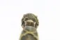 Preview: Prussian Lion's Head Cavalry Saber