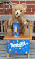 Preview: Pustefix Baer, Original Pustefix soap bubble bear in top condition