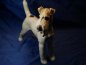 Preview: Allach Porcelain Manufactory - Foxl standing, colored - Design by Prof. Th. Kärner No. 19