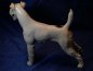 Preview: Allach Porcelain Manufactory - Foxl standing, colored - Design by Prof. Th. Kärner No. 19