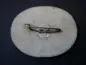 Preview: Badge – Opening of the Thingplatz in Passau, 1935