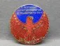 Preview: Enameled badge - workers movement Frankfurt 1931