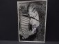 Preview: Photo HJ - "Hitler boy playing the accordion" with the Württemberg triangle - Propaganda Department Stuttgart