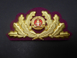 Preview: GDR NVA shoulder boards / shoulder boards fire brigade chief fire inspector + corkarde general