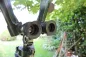 Preview: Frühes sowjetisches Scherenfernrohr ASzT 10x45 von 1956 – markiert und gestempelt