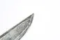 Preview: Original Danish Saber - Saber of the Christian's Guard (Flensburg) 1799