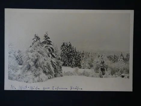 Autograph - Else Hueck-Dehio, Deutsch/Baltische Schriftstellerin (1897–1976)