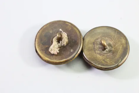 Original metal uniform button, uniform button/livery button with crest