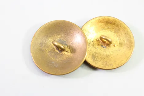 2x Baden Uniform Buttons with the Monogram of Grand Duke Frederick I of Baden