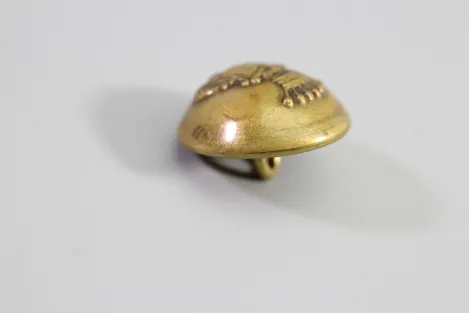 Livery uniform button, Saxony, metal button, uniform button,