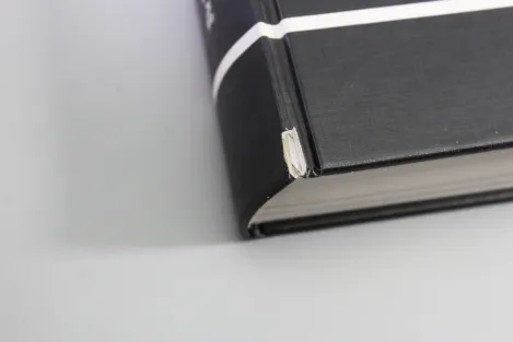 SS Service Daggers – Reference Book for Identification & Authentication