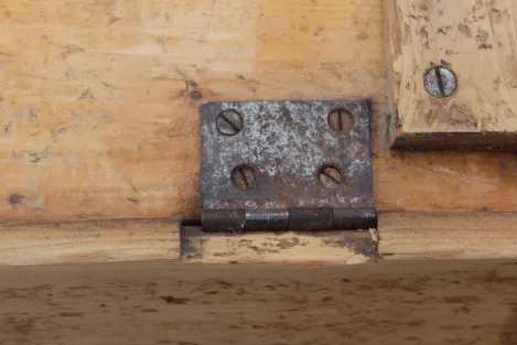 Sippentruhe mit Lebensbaum und Ruhnen in Kategorie Antiquitäten