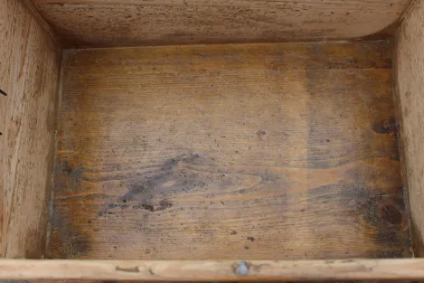 Sippentruhe mit Lebensbaum und Ruhnen in Kategorie Antiquitäten