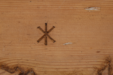 Sippentruhe mit Lebensbaum und Ruhnen in Kategorie Antiquitäten