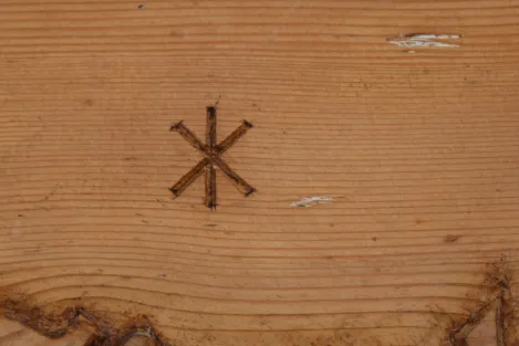 Sippentruhe mit Lebensbaum und Ruhnen in Kategorie Antiquitäten