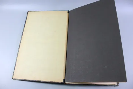 Geheime Verschlusssache der DDR, Bericht Kampfstoffe