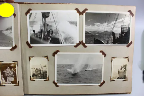 Erinnerungen meine Dienstzeit Kriegsmarine Fotoalben Flugzeuge Stuka Wasserflugzeuge