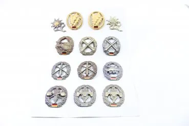 Lot of 13 BW beret badges on cardboard sheets, mountain infantry