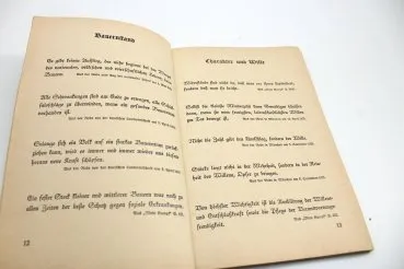 Historical book Adolf Hitler, 1st volume, 13th edition 1933