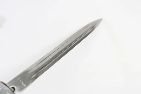 GDR NVA dagger for officers of the land forces