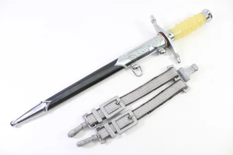 DDR NVA Dolch für Offiziere der Landstreitkräfte