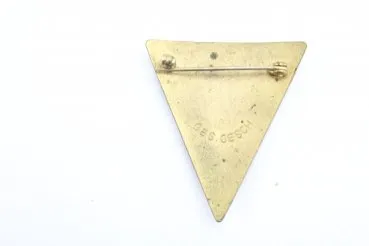 NS Frauenschaft Abzeichen NSF 44mm