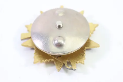 UdSSR Orden des Roten Stern sehr guter Zustand, original