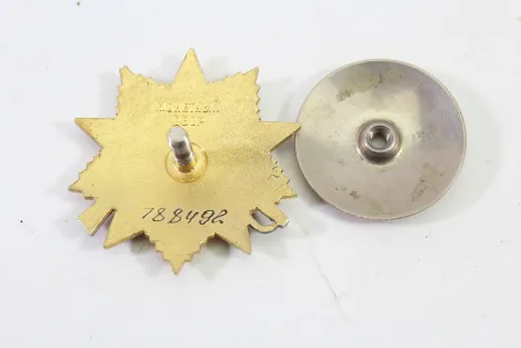 UdSSR Orden des Roten Stern sehr guter Zustand, original