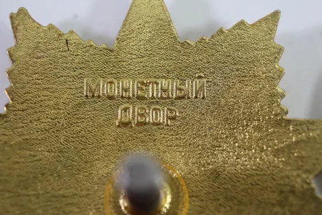 UdSSR Orden des Roten Stern sehr guter Zustand, original