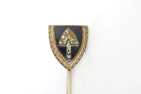 RAD pin with oak leaves