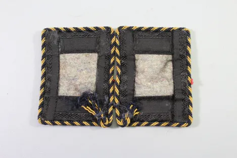 Reichsbahn collar tabs with gold embroidery