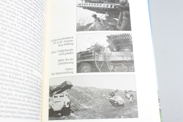Henry Pedersen Germanische Freiwillige Als dänischer Waffen-SS-Mann an der Ostfront