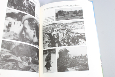 Henry Pedersen Germanische Freiwillige Als dänischer Waffen-SS-Mann an der Ostfront