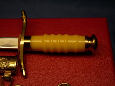 Preview: Geschenkdolch - NVA Generalsdolch LSK Luftstreitkräfte mit Gehänge + Hänger im Etui