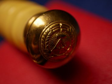 Preview: Geschenkdolch - NVA Generalsdolch LSK Luftstreitkräfte mit Gehänge + Hänger im Etui