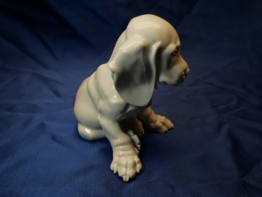 Preview: Allach - Dackelwelpe sitzend - Weißes Porzellan. Entwurf Theodor Kärner, Modell-Nr. "2"