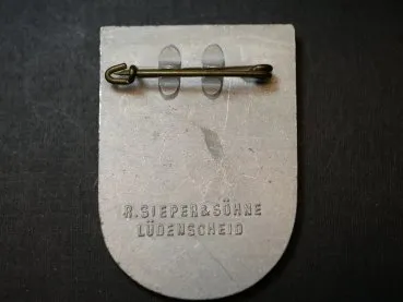 Badge - Reunion of the old party comrades Hattingen Ruhr 1935