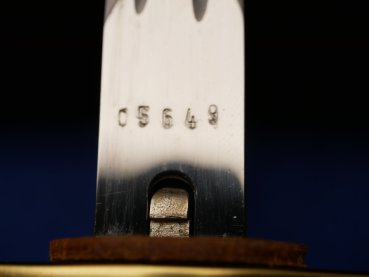 Preview: NVA Generalsdolch Grenztruppen im Etui mit Gehänge + Hänger