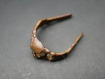 Original skull ring hussar ring in found condition / hoard find / blank