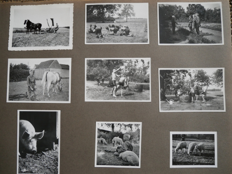 Fotoalbum mit ca. 220 Fotos der HJ Landjahr