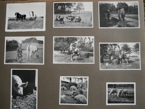 Fotoalbum mit ca. 220 Fotos der HJ Landjahr