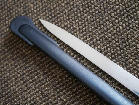 SS-Verfügungstruppe parade saber / lion-head saber, Model 113, by manufacturer Alcoso