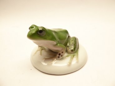 Rosenthal porcelain. Colored frog around 1928