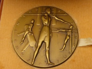 Medaille "Alfred Maul 1828-1907" Sportpädagoge und Turnführer, im Etui