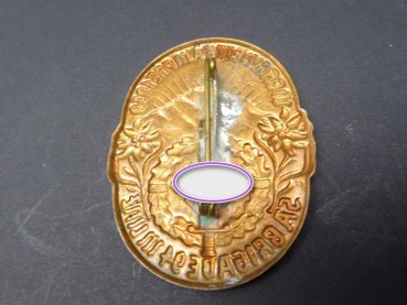 Preview: Wehrwettkämpfe 1939 SA Brigade 94 in Linz