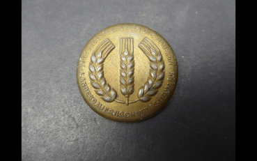 Badge - RNSt Reichsnährstand - Brooch "War harvest thanks to the farmer - Landesbauernschaft Südmark"