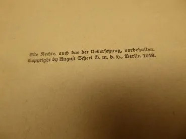 Buch - Fort mit Erzberger ! von Karl Helfferich 1919 - Flugschriften des Tag Nr. 8