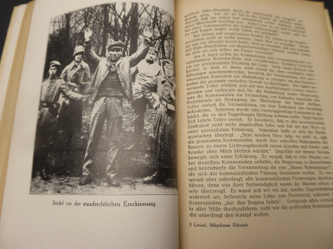 Book - From the time of the Munich councilor by Rosa Levine, Berlin 1925