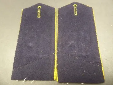 Parr shoulder boards Saxony for teams of the Landwehr District Command No. 18